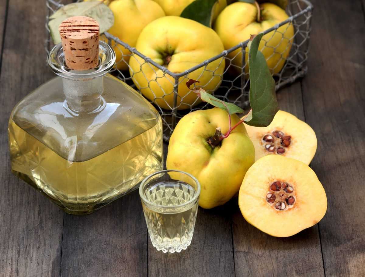 Как называется водка на яблоках в разных странах? домашние рецепты своими руками