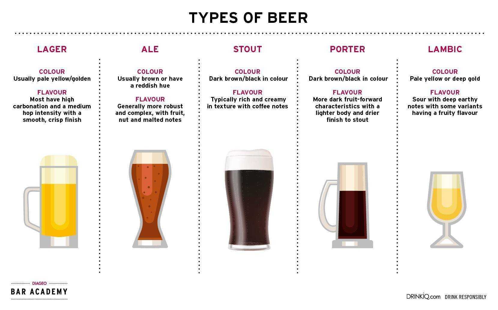 Стаут (stout): описание, производство и правила употребления разных видов элевого пива (ирландского, шоколадного, темного, гиннес, устричного)