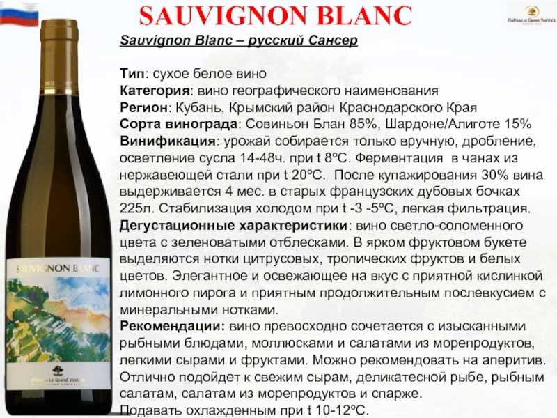 Вино из винограда совиньон. Вина сорта Совиньон Блан. Вино Совиньон белое сухое. Вино Совиньон Блан белое сухое. Французское вино Совиньон Блан.