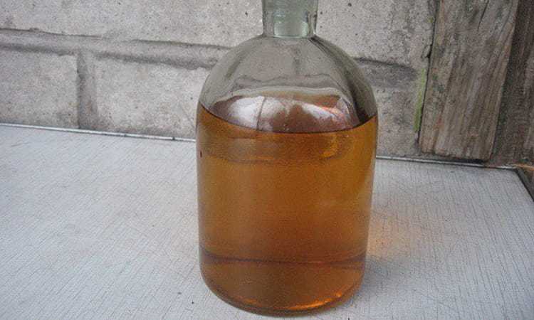 Настойка из фиников — рецепты напитка с пошаговым приготовлением в домашних условиях