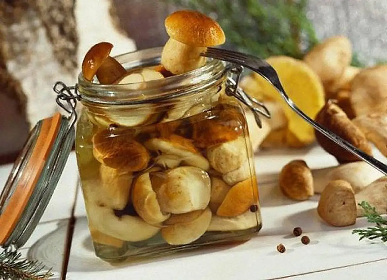 20 рецептов очень вкусных маринованных грибов