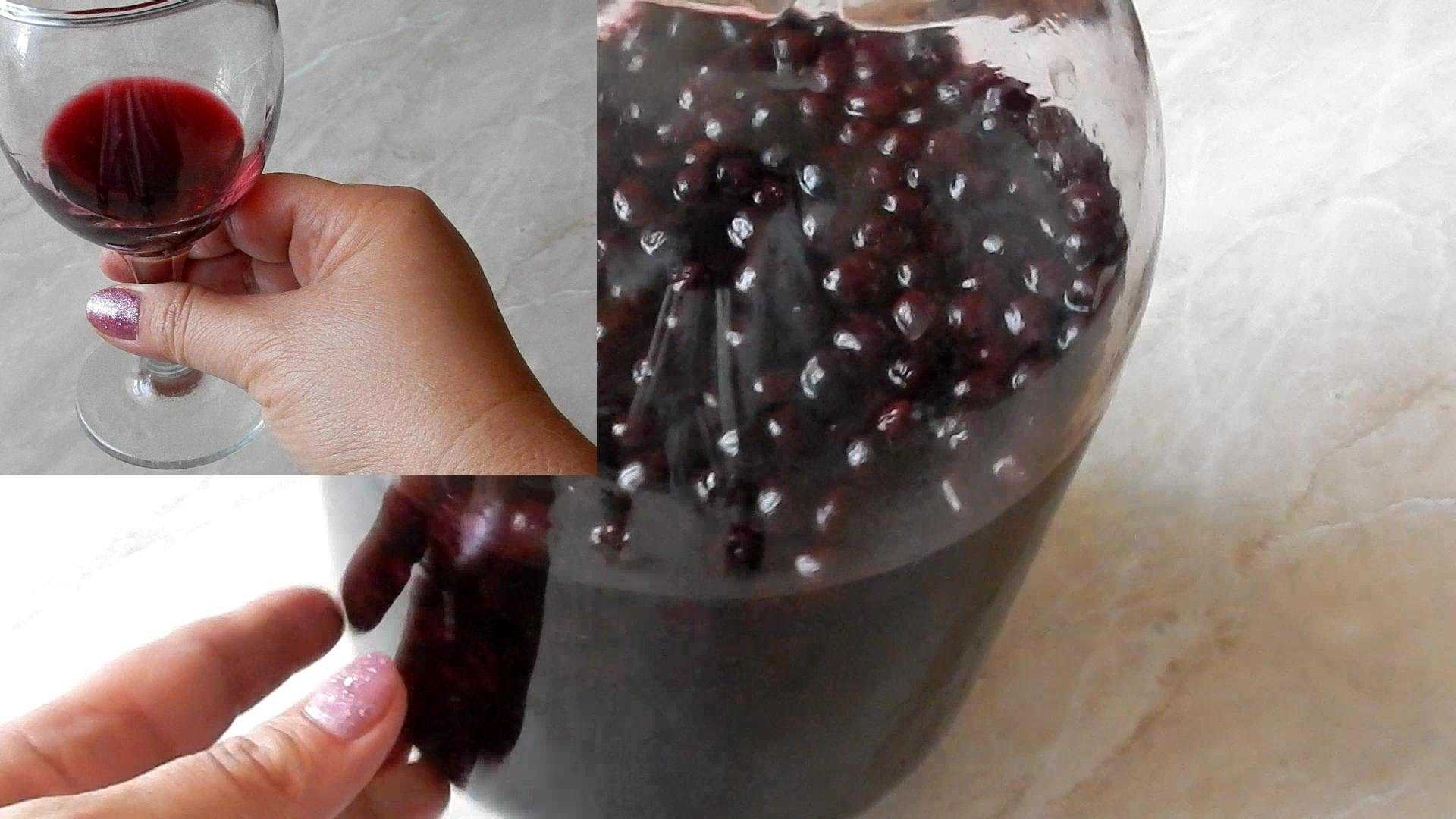 Наливка из черноплодной рябины - 20 лучших рецептов