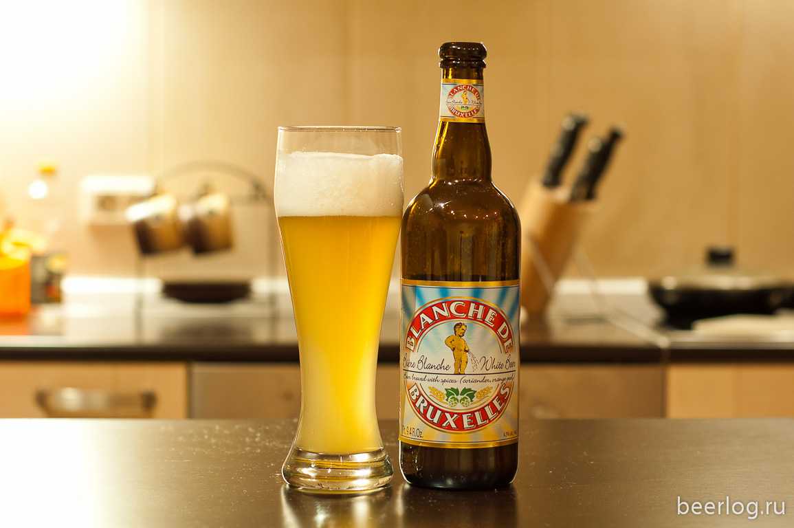 Пиво бельгийское бланш (blanche): история и исторические факты, рецепт