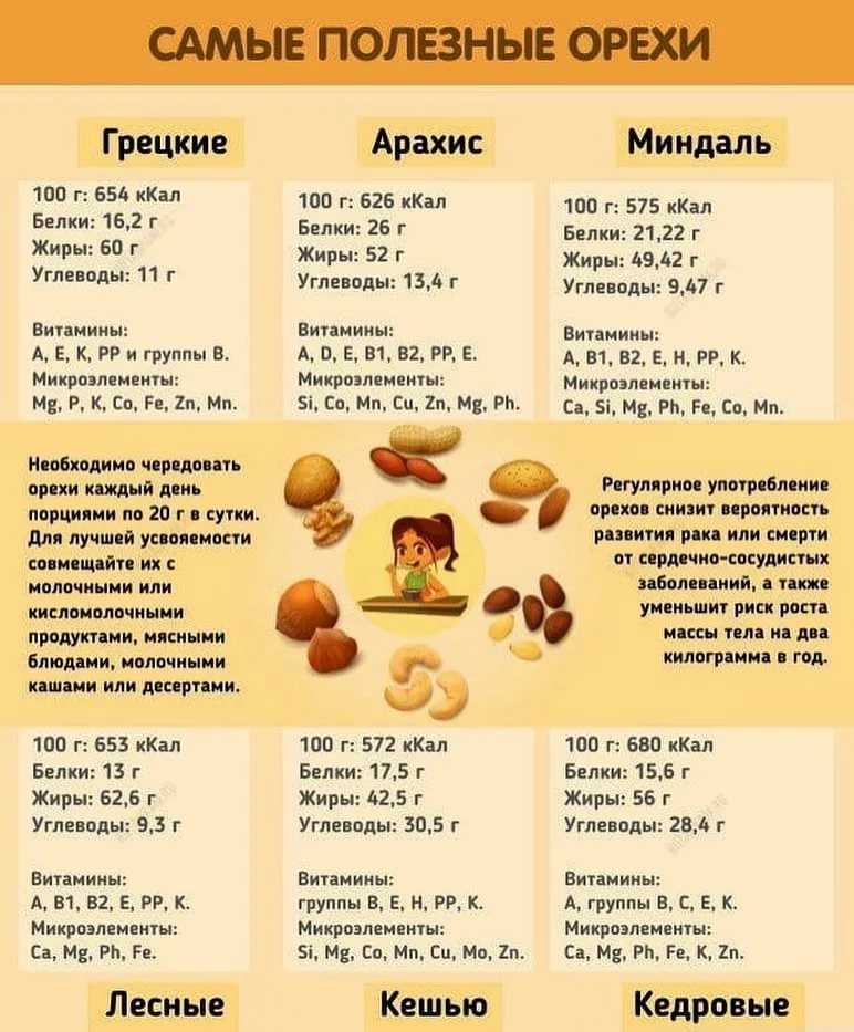 Настойка водки на орехах: фундук, грецких и кедровых орехах