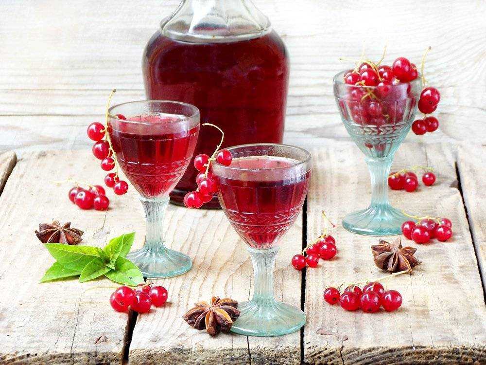 Простые рецепты приготовления вина из замороженных ягод в домашних условиях