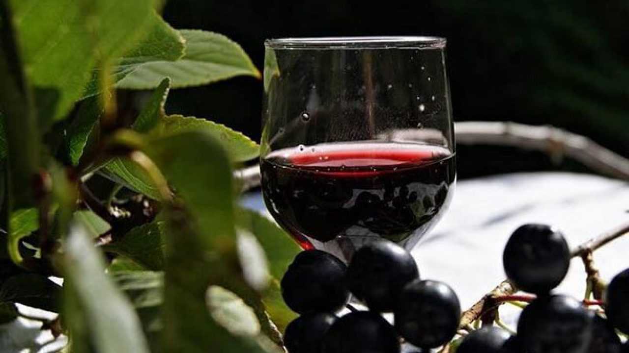 Рецепт вина из черной