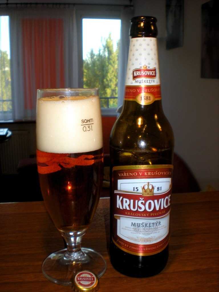 Пиво крушовице (krušovice) — особенности производства, стоимость напитка и отзывы потребителей