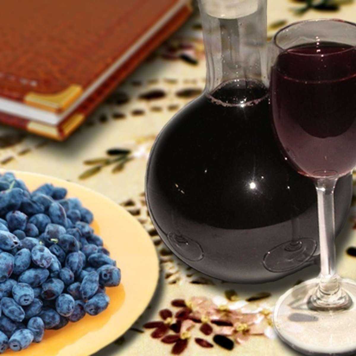 Домашнее вино из жимолости — простые рецепты приготовления