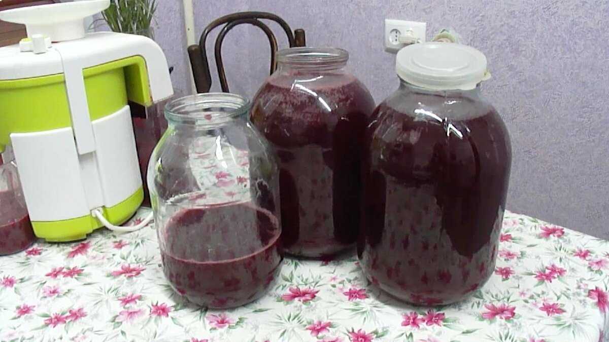 Вино из крыжовника в домашних условиях - 4 лучших рецепта