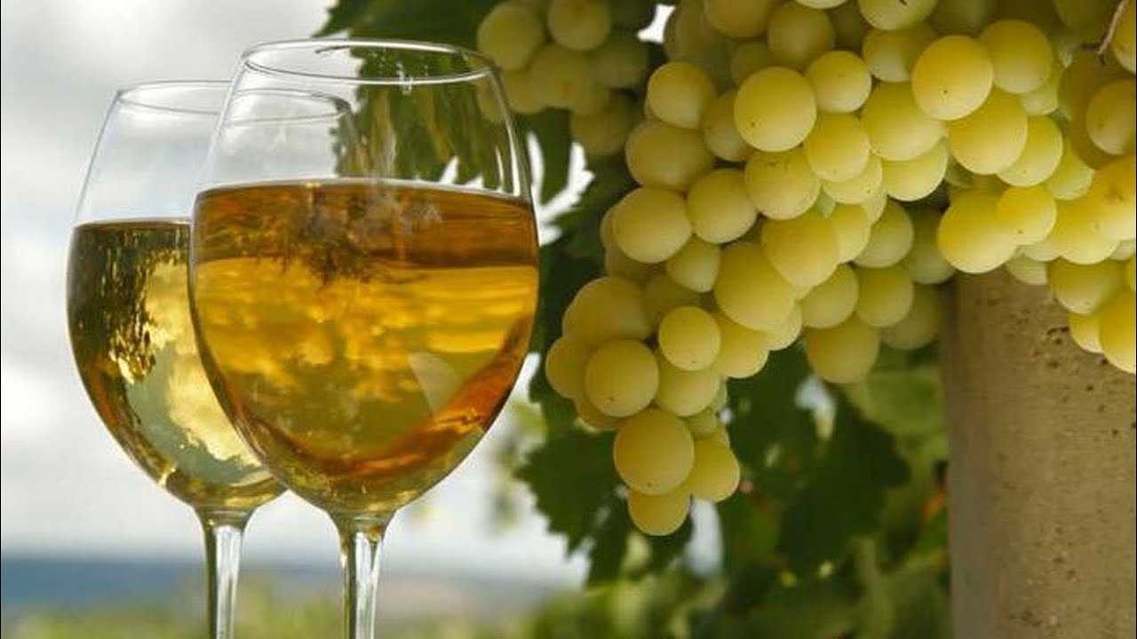 Вино белый мускат красного камня («массандра»): описание, отзывы
