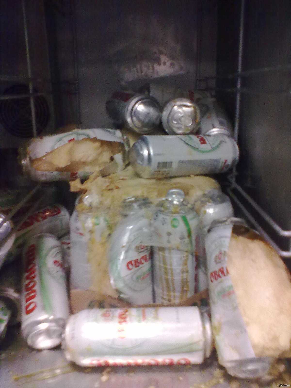 Пиво в алюминиевых банках в морозильной камере. Пиво взорвалось в морозилке. Банка в морозилке. Замерзло пиво в бутылке