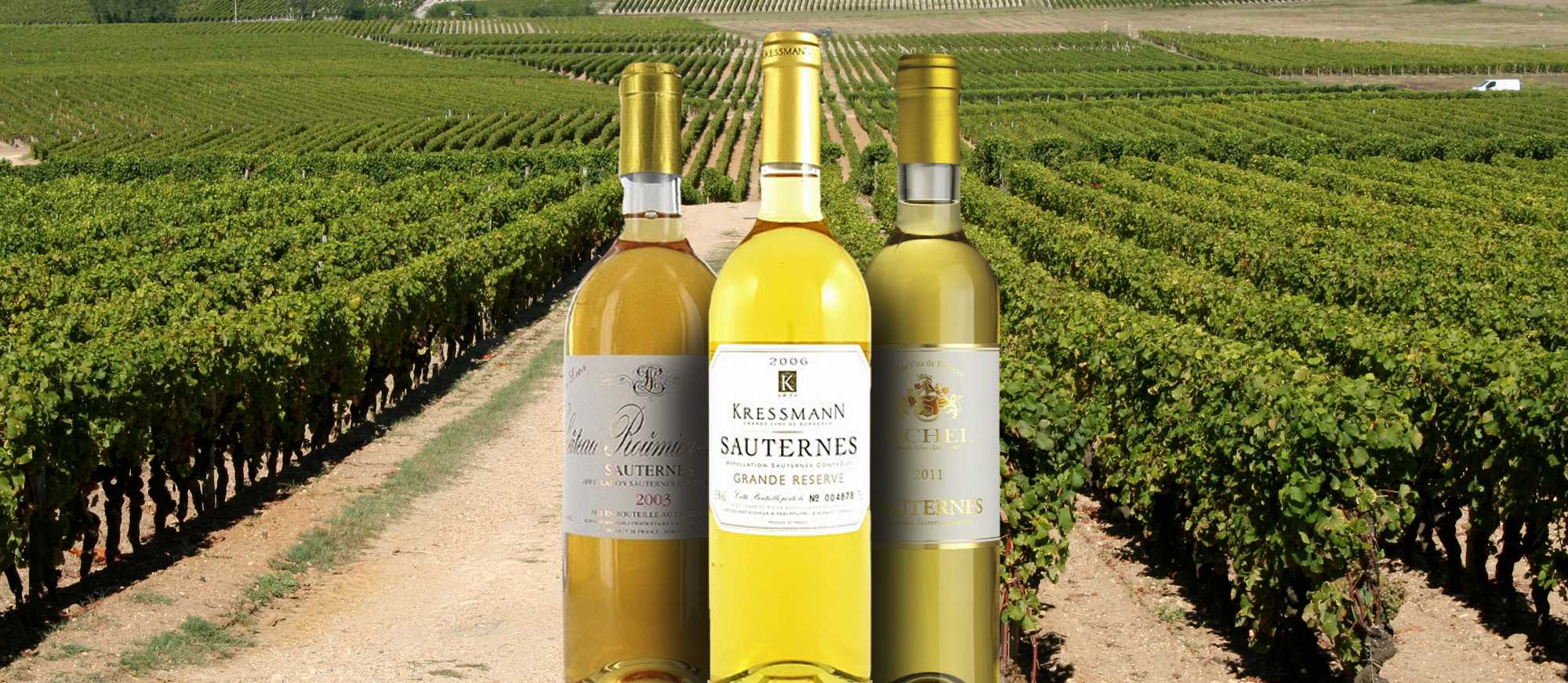 Самые популярные марки белых вин (рейтинг): как и какое лучше выбрать