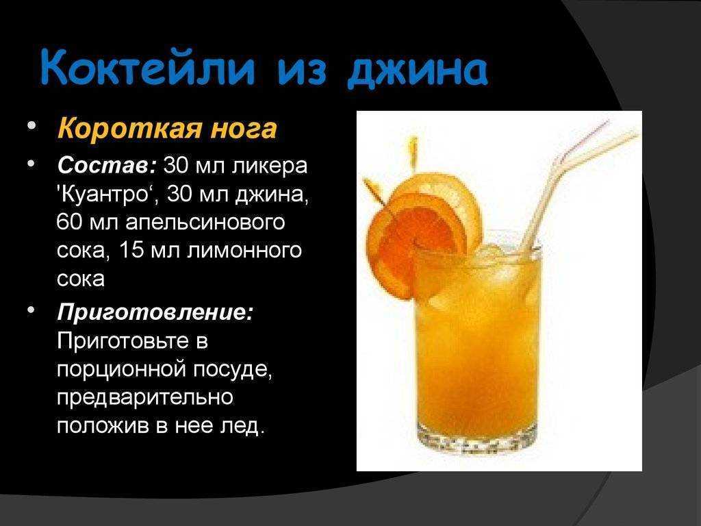 Коктейли с джином: топ 20 алкогольных рецептов для приготовления в домашних условиях