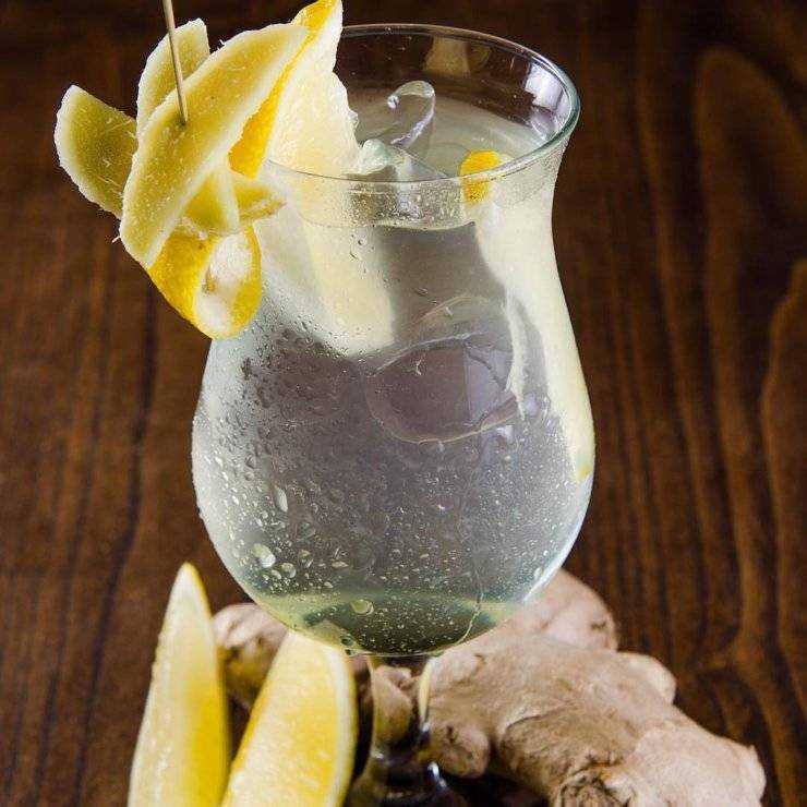 Простые коктейли с джином – 10 лучших рецептов для дома
