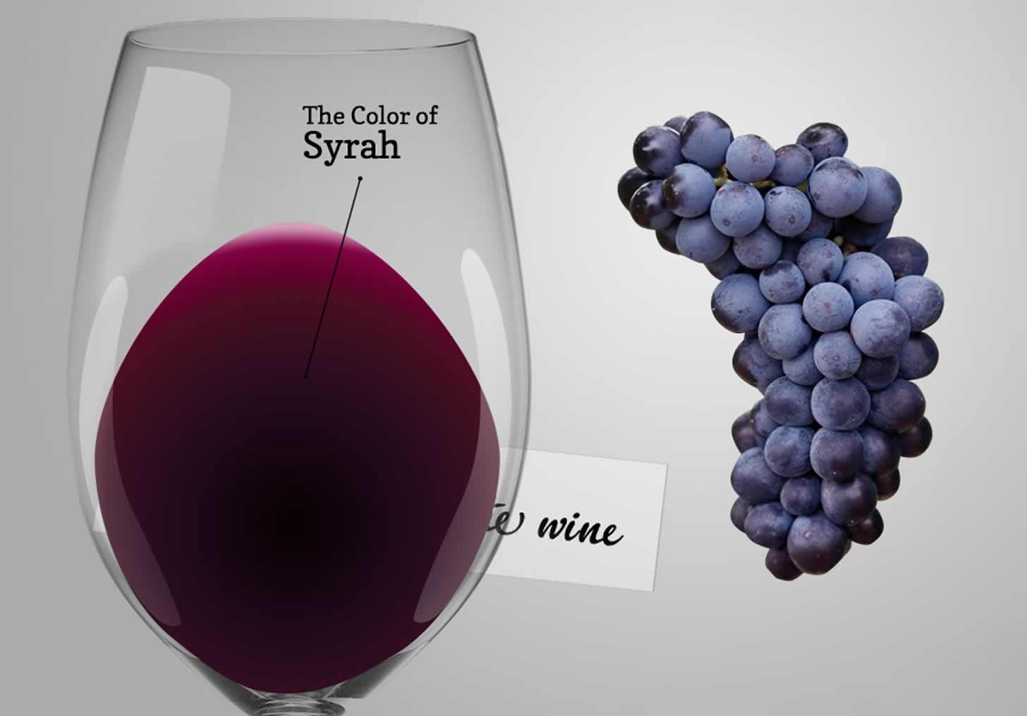 Вино шираз (сира): описание, виды, вкус – как правильно пить